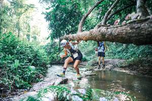 BIB: 
                            <button type="button" onclick="openModal(25435102)" class="btn btn-primary btn-sm float-right btn-popup" data-toggle="modal" data-target=".modal-high-quality">
                        <i class="fas fa-shopping-cart"></i> Add to Cart
                    </button>
                                            <button type="button" onclick="isThisMe(25435102, true)" class="btn btn-success btn-sm float-right btn-popup btn-isme hidden" data-toggle="tooltip" data-placement="bottom" title="นี่คือรูปของคุณใช่ไหม คลิกที่นี่เพื่อเอาเข้าอัลบั้ม">
                        <i class="fas fa-plus"></i> Add to album
                    </button>
                    <button type="button" onclick="isThisMe(25435102, false)" class="btn btn-warning btn-sm float-right btn-popup btn-isnotme hidden">
                        <i class="fas fa-ban"></i> Remove from album
                    </button>